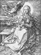 Albrecht Durer Madonna Crowned by an Angel china oil painting artist